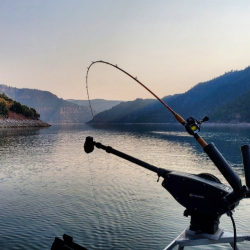 Lake Fishing