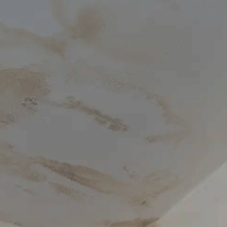 Roof Leak Repair