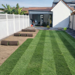 Lawn Installation