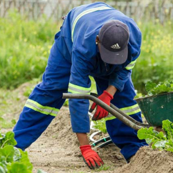 Irrigation & Drainage