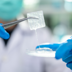 BioLab Membrane Wrap – Hydro (Hydrated Amniotic Allograft Membran