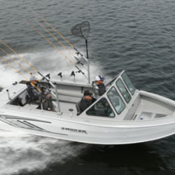 New Boats