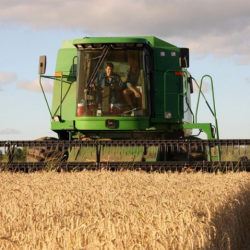 Agriculture