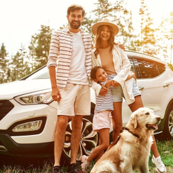 Auto Insurance