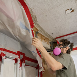 Mold Remediation