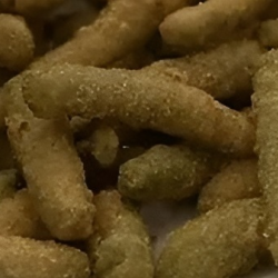 Appetizers