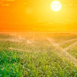 Irrigation and Agricultural Services