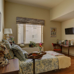 Long Term Skilled Care