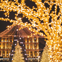 Christmas Lights Installation