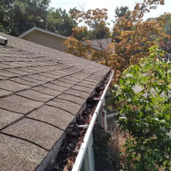 Gutter Cleaning
