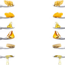Cannabis Concentrates