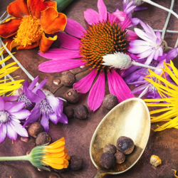 Odor Control Services