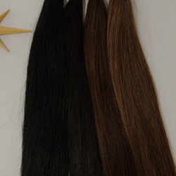Eclipse Collection