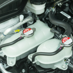 Thermal & Fluid Management