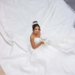 Eternal Rose Ball Gown