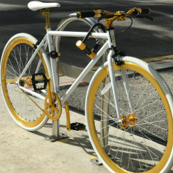 Bicycle Accident