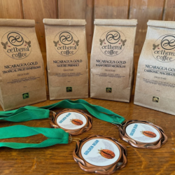 Nicaragua Gold Variety Pack