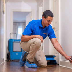 Water Damage Clean Up