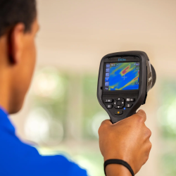 Mold Damage Restoration