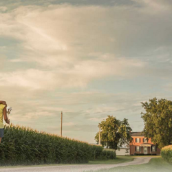 Farm & Ranch Insurance