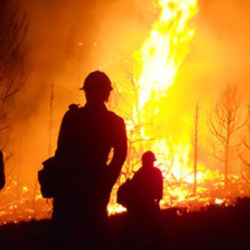 Southwest District Fire Management