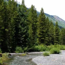 Oh Be Joyful Campground