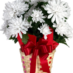 Hand Tied Bows