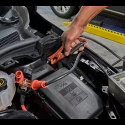 Car, Truck & SUV Batteries