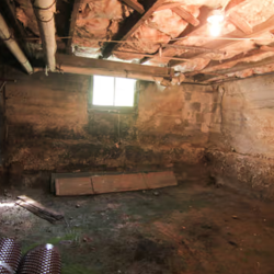 Basement Waterproofing