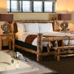 Pet Friendly Rooms