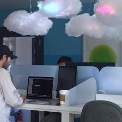 Website Support & Management