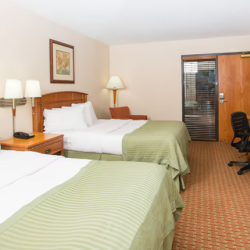 Room Types