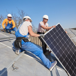 Pioneer’s Online Marketplace