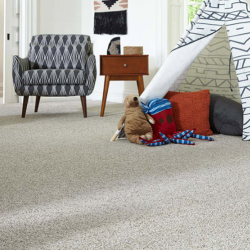 Carpet