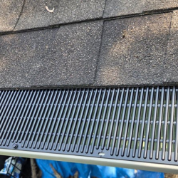 Leaf Guards