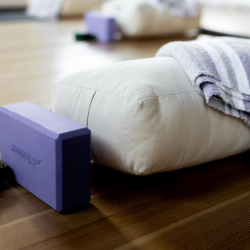 6-Week Beginner's Yoga Series