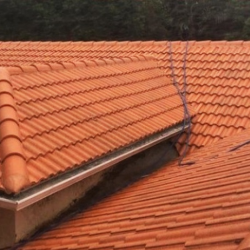 Roof Soft Washing