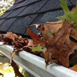 Gutter Cleaning