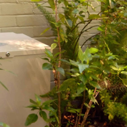 Mosquito Misting Systems