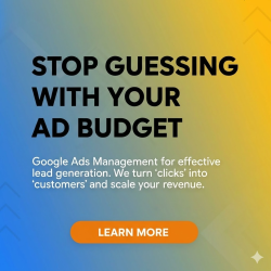 Google Ads Management