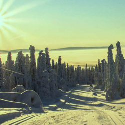 Seasonal Trail Closures