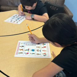 After School Support and Enrichment