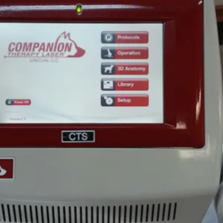 Therapeutic Laser