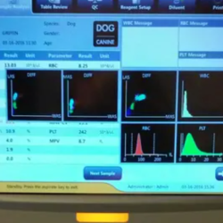 In-House Lab
