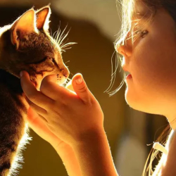 Heartworm Information and Prevention
