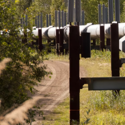 General Groundskeeping