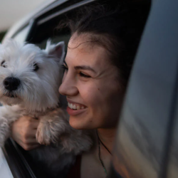 Business Auto and Vehicle Loans