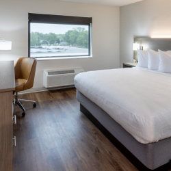 Standard King or Two Queen Bed