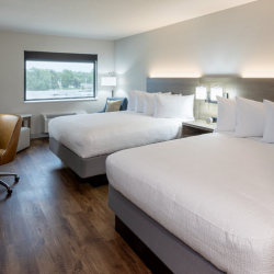 Executive King Studio/Two Queen Bed Executive