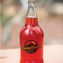 Craft Kombucha and other Non-Alcoholic Options